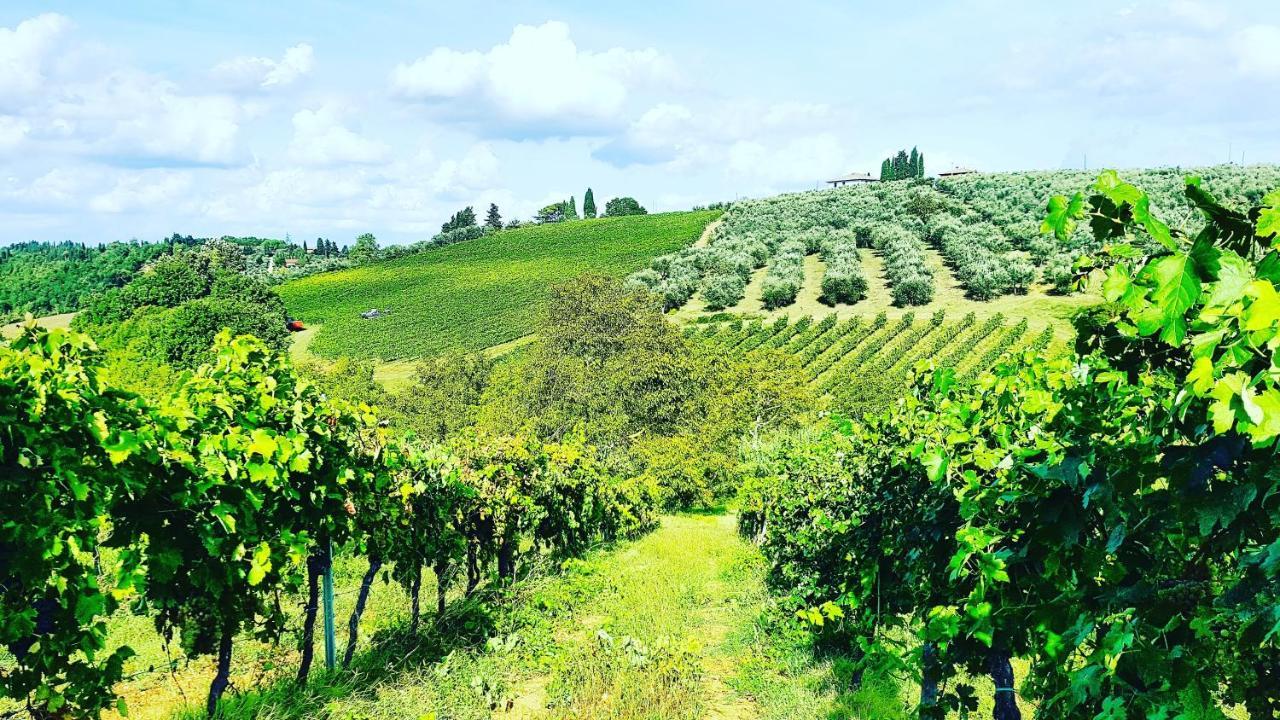 Agriturismo Sant'Ellero San Casciano in Val di Pesa Exteriör bild