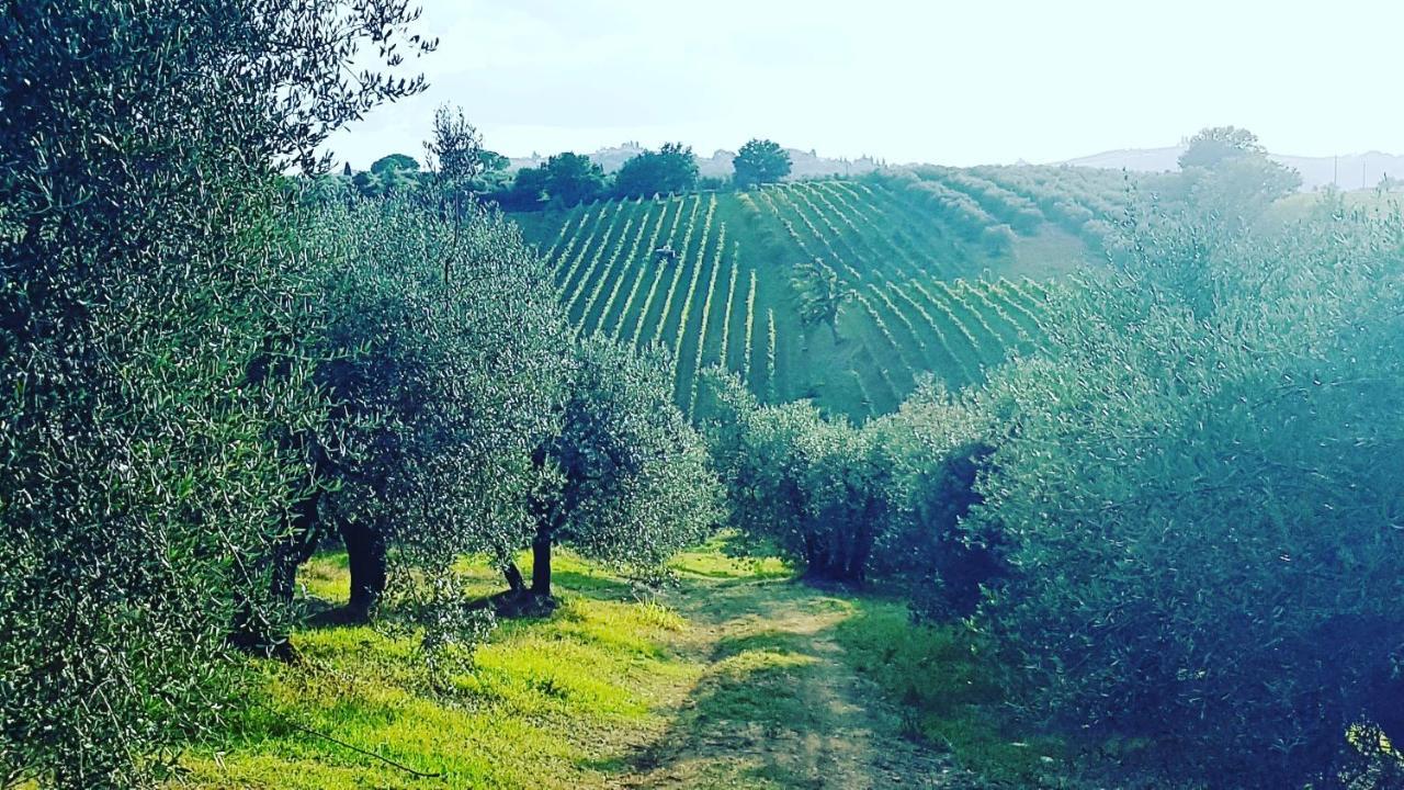 Agriturismo Sant'Ellero San Casciano in Val di Pesa Exteriör bild